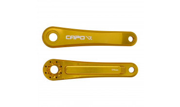 CAPO 8 CRANK GOLD 170 NEW