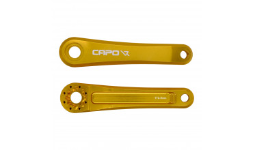 CAPO 8 CRANK GOLD 172.5 NEW