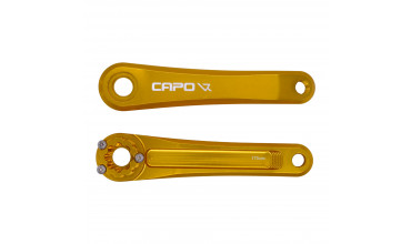 CAPO 3 CRANK GOLD 170 NEW