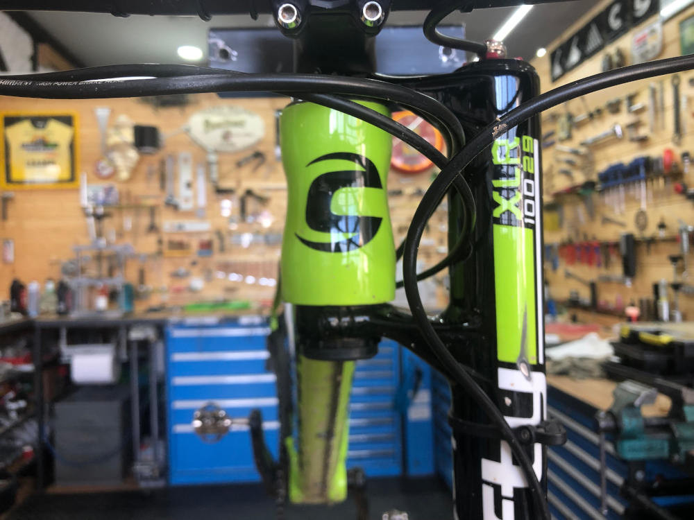 CANNONDALE DEDICATED